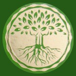 Organic Aloe Vera 100% Natural Smudge R&auml;ucherst&auml;bchen